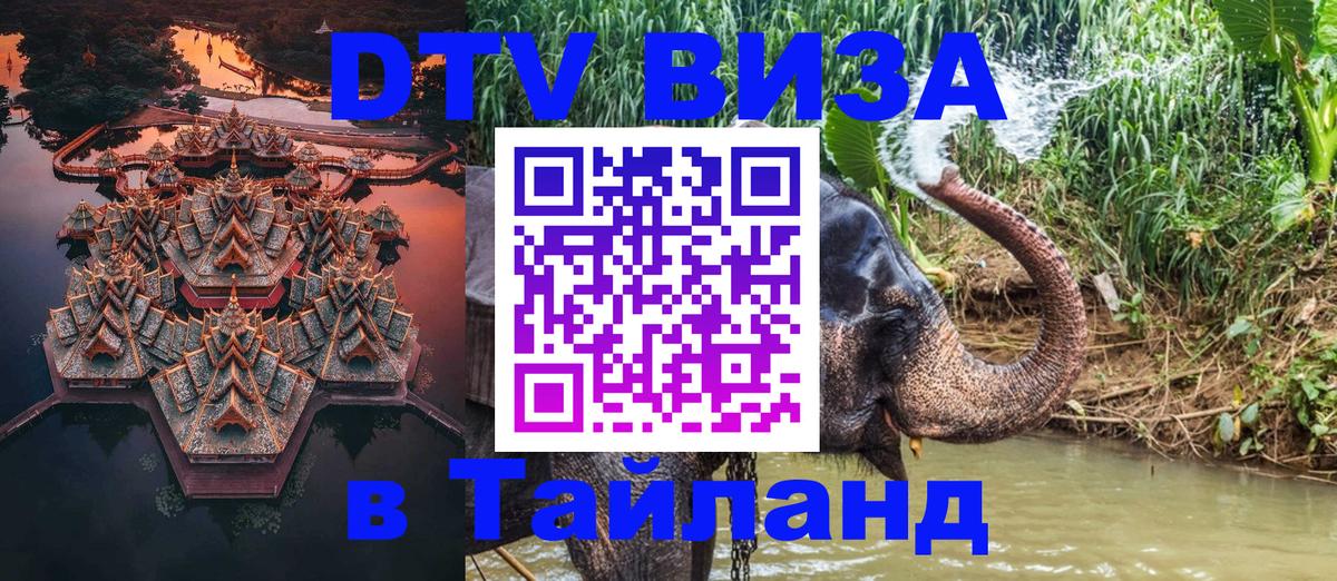 Оформление DTV визы под ключ: стоимость и тарифы, только загранпаспорт - Стерлитамак  05.12.2025 